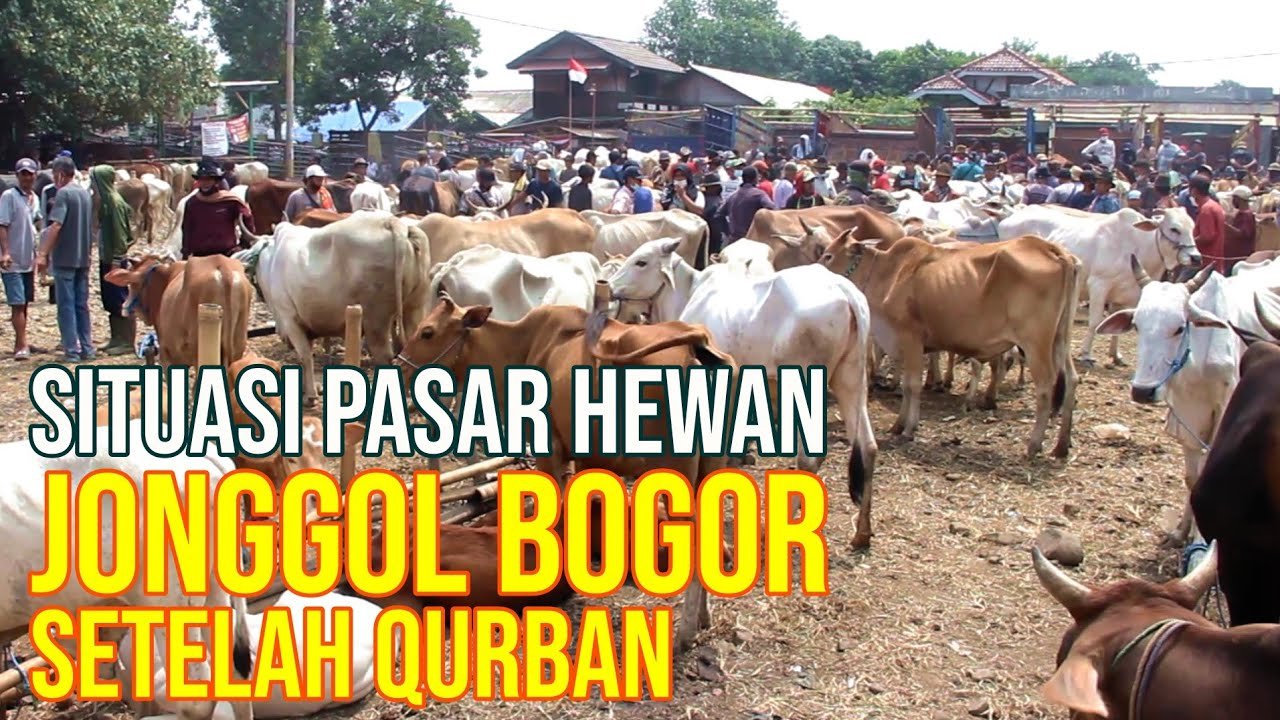 Kondisi Pasar Hewan Jonggol Setelah Qurban.jpg